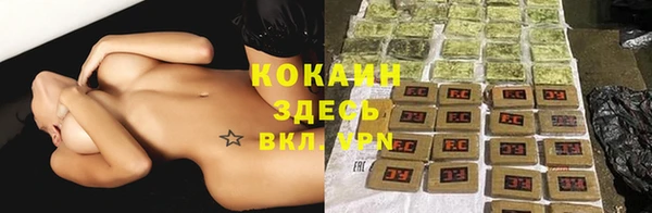 крисы Медвежьегорск