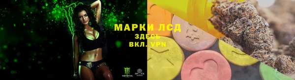 крисы Медвежьегорск