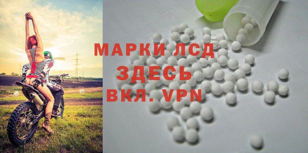 крисы Медвежьегорск