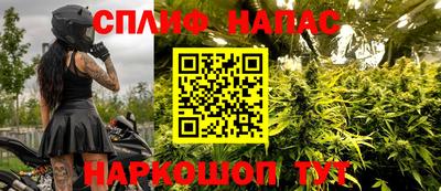 jwh Апшеронск
