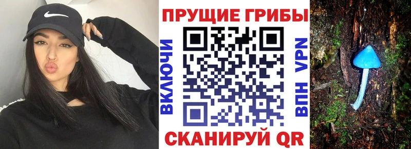 Галлюциногенные грибы Cubensis  где найти   Унеча 