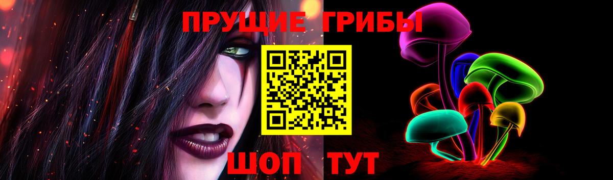 Унеча  Галлюциногенные грибы Cubensis  Вход с VPN 